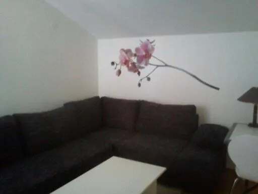 Apartment Zelencic Kali